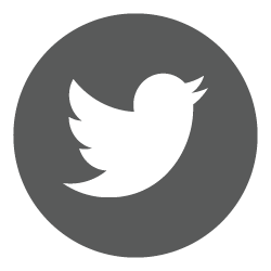 twitter logo