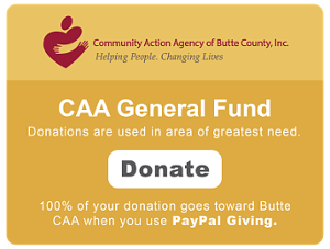 hubspot Donate CAA CTA button