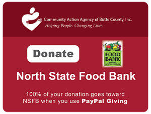 hubspot Donate NSFB CTA button