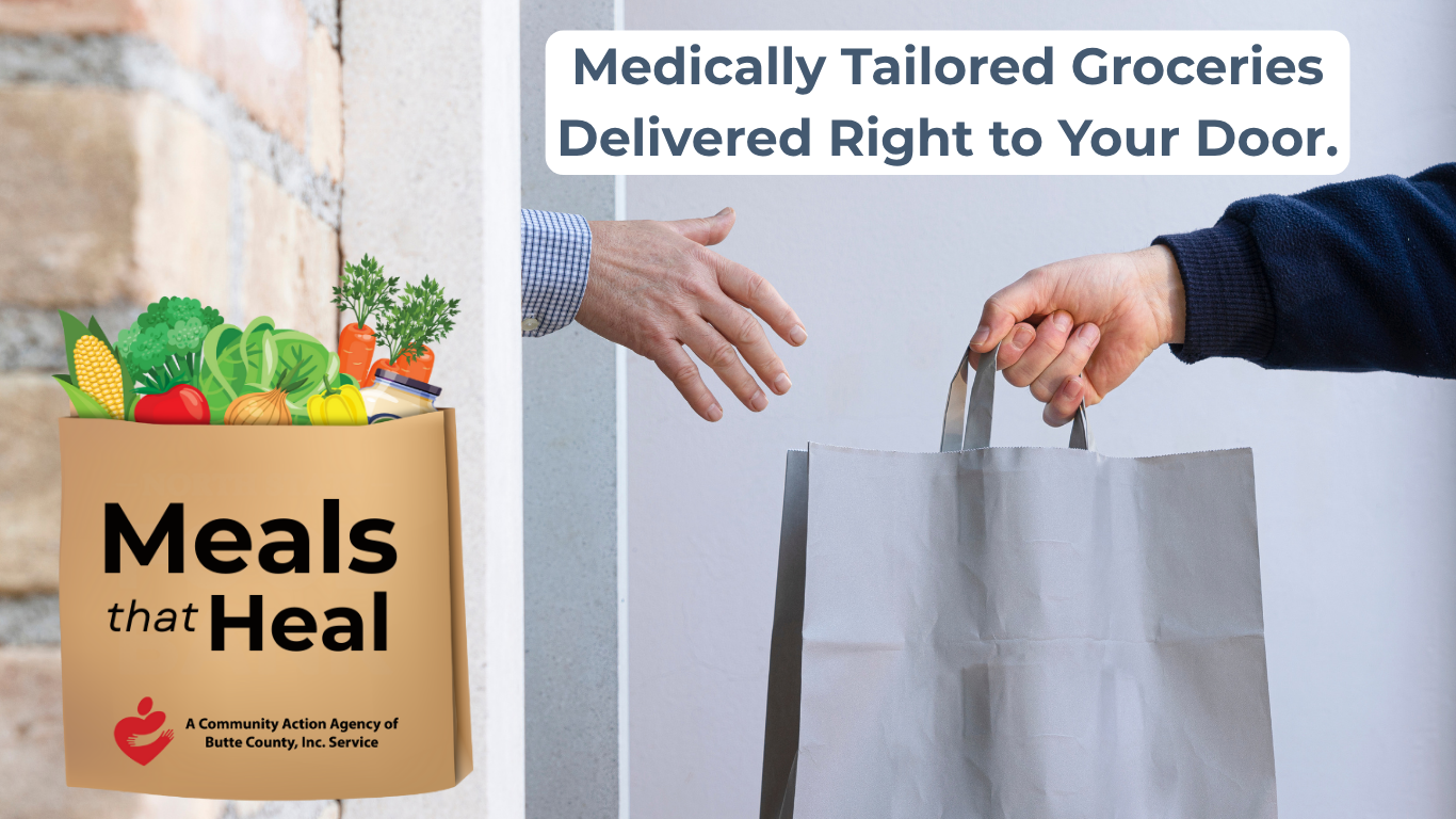 Webpage Banner Meals that Heal